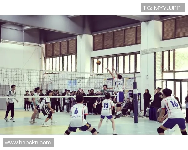 成都排球队精英赛之路:拼搏与荣耀交织的奋斗历程